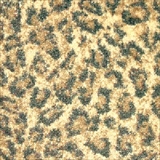 Milliken Carpets
Wasabu